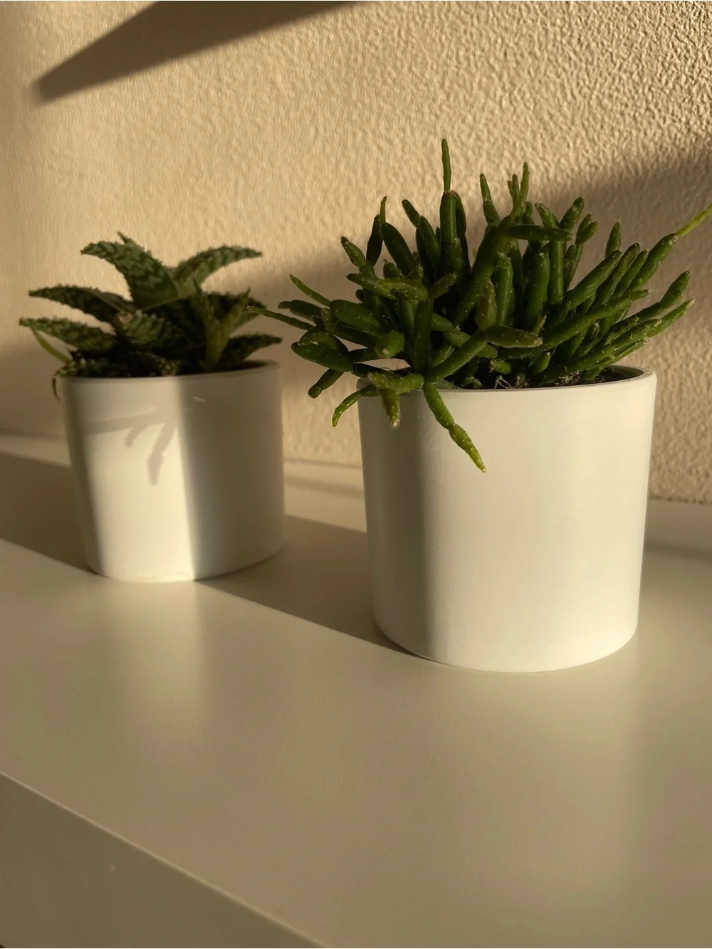 N/A stylish white
